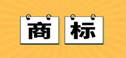 填寫商標續(xù)展申請書需要注意哪些問題？記住這幾點不再抓瞎