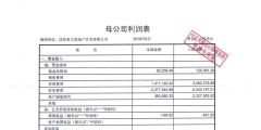 財務(wù)報表審計具體審查的內(nèi)容（審計時公司報表有什么要注意的）